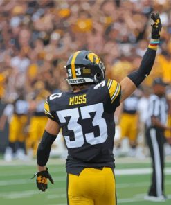 Moss Iowa Hawkeyes Player Diamond Painting