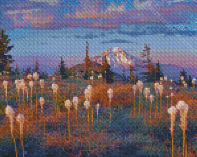 Mountain Beargrass Meadow Diamond Painting