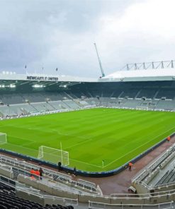 Newcastle United Football Stadium Diamond Painting