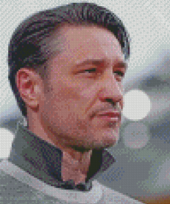 Niko Kovac Coach Diamond Painting