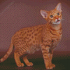 Ocicat Animal Diamond Painting