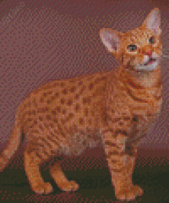 Ocicat Animal Diamond Painting