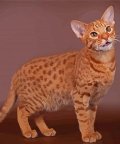 Ocicat Animal Diamond Painting