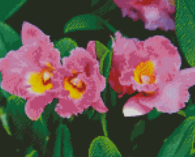 Pink Cattleya Flower Diamond Painting