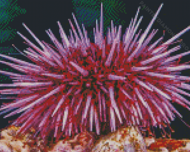 Pink Urchin Diamond Painting