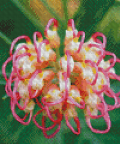 Pink And White Grevillea Plant Diamond Painting