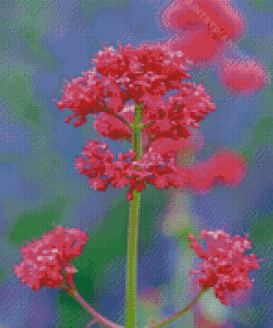 Pink Valerian Flowering Plant Diamond Painting