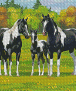 Pinto Horse Family Diamond Painting