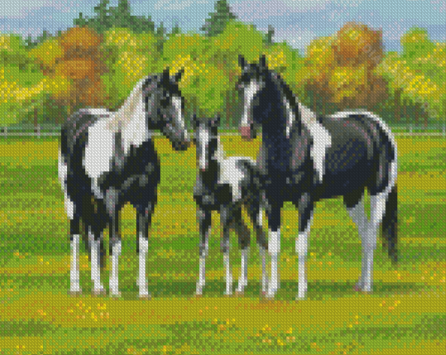 Pinto Horse Family Diamond Painting