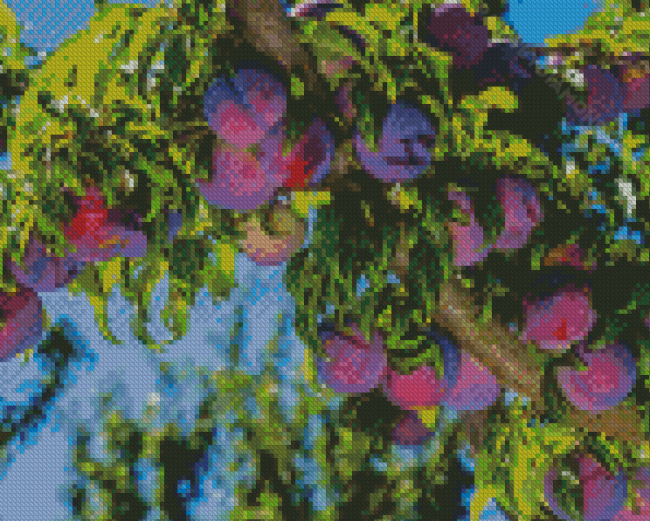 Plum Fruit Tree Diamond Painting