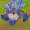 Purple Bearded Iris Flowering Plants Diamond Painting