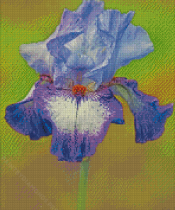 Purple Bearded Iris Flowering Plants Diamond Painting