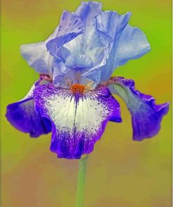 Purple Bearded Iris Flowering Plants Diamond Painting