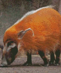 Red River Hog Animal Diamond Painting