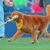 Rookie Dog Playing Baseball Diamond Painting