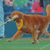 Rookie Dog Playing Baseball Diamond Painting