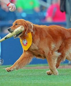 Rookie Dog Playing Baseball Diamond Painting