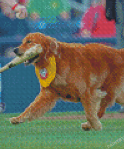 Rookie Dog Playing Baseball Diamond Painting