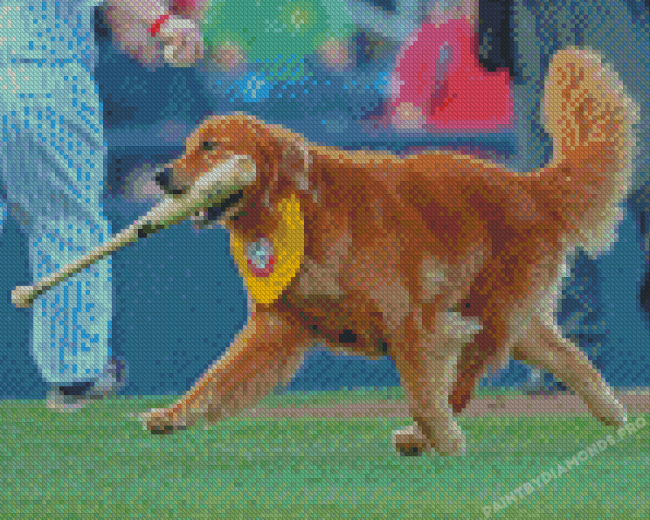 Rookie Dog Playing Baseball Diamond Painting