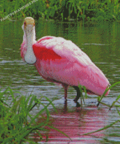 Roseate Spoonbill Diamond Painting