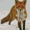 Sandfox Animal In Snow Diamond Painting