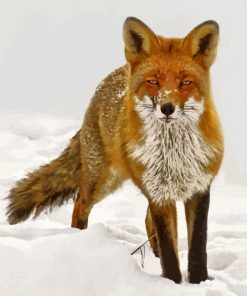 Sandfox Animal In Snow Diamond Painting