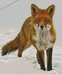 Sandfox Animal In Snow Diamond Painting