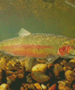 Steelhead Fish Underwater Diamond Painting