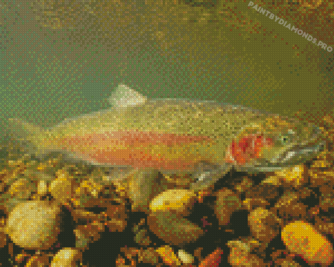 Steelhead Fish Underwater Diamond Painting