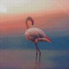 Sunrise Flamingo Diamond Painting