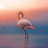 Sunrise Flamingo Diamond Painting