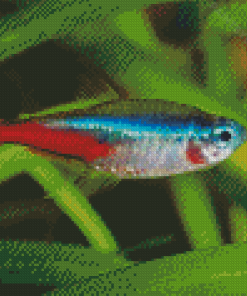 Terta Fish Underwater Diamond Painting