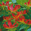 The Gloriosa Lilies Plants Diamond Painting