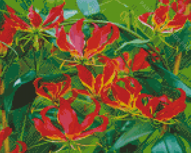 The Gloriosa Lilies Plants Diamond Painting