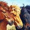 Three Icelandic Pony Horses Diamond Painting