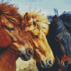 Three Icelandic Pony Horses Diamond Painting