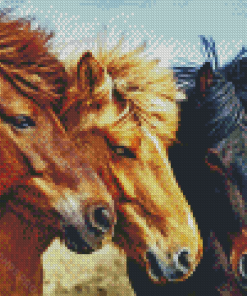 Three Icelandic Pony Horses Diamond Painting