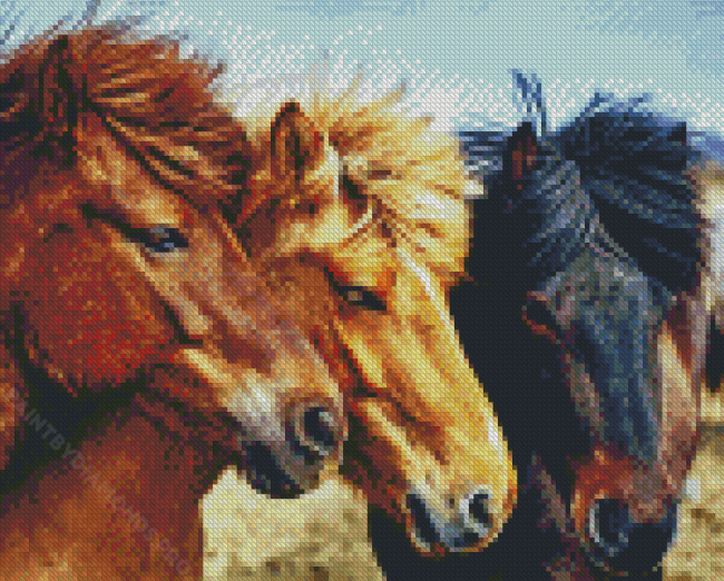 Three Icelandic Pony Horses Diamond Painting