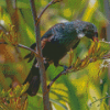 Tui Bird Feeding On Flax Flowers Diamond Painting