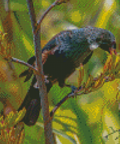 Tui Bird Feeding On Flax Flowers Diamond Painting