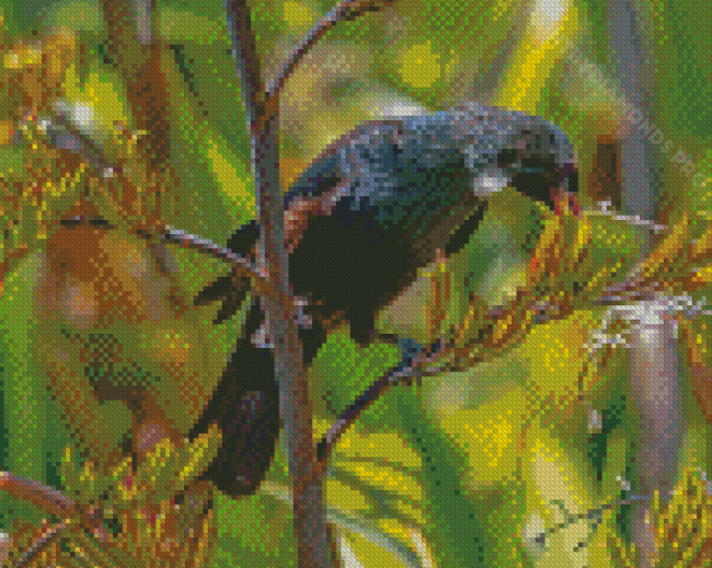 Tui Bird Feeding On Flax Flowers Diamond Painting