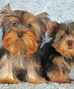 Two Yorkshire Terrier Puppies Diamond Painting