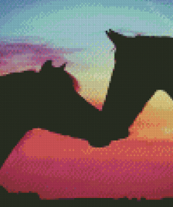 Two Horses In Love Silhouette Diamond Painting