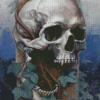 Vampire Skull Diamond Painting