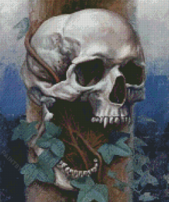 Vampire Skull Diamond Painting