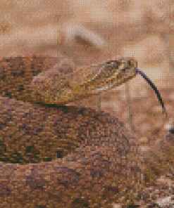 Venomous Rattlesnake Diamond Painting