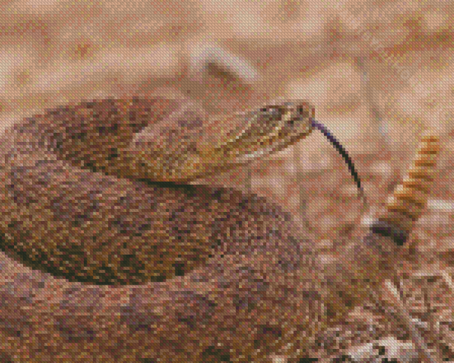 Venomous Rattlesnake Diamond Painting