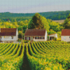 Vineyard France Diamond Painting