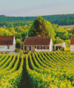 Vineyard France Diamond Painting