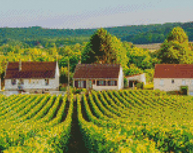 Vineyard France Diamond Painting